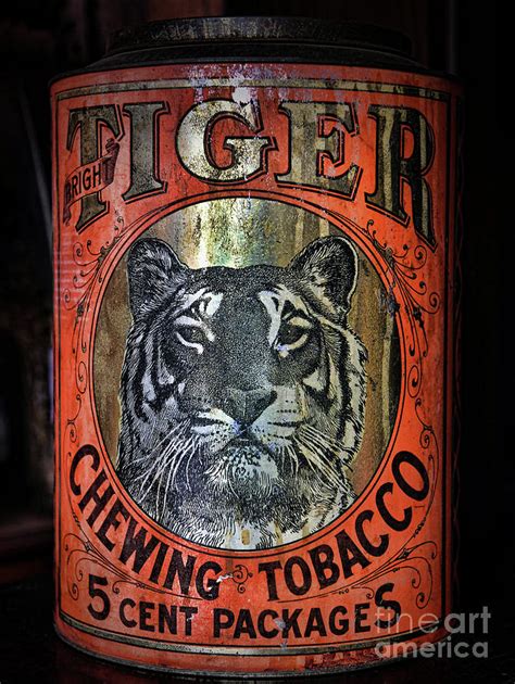 Vintage Tobacco Tin, Tiger Chewing Tobacco 